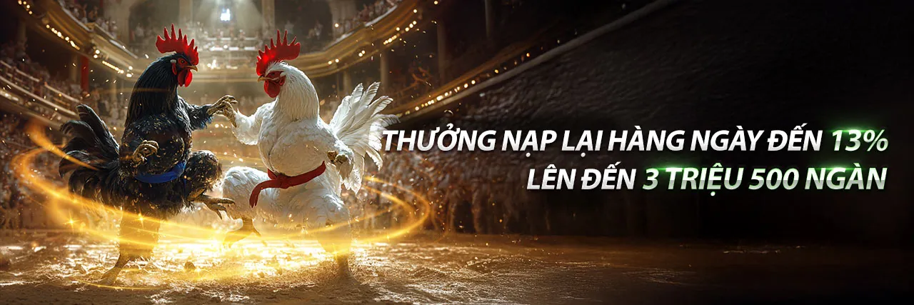 Chương trình Đối tác U888